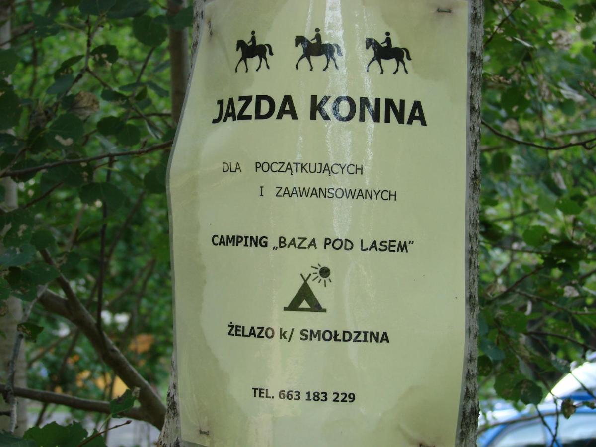 Agroturystyka Pod Kogutkiem Czysta Dış mekan fotoğraf